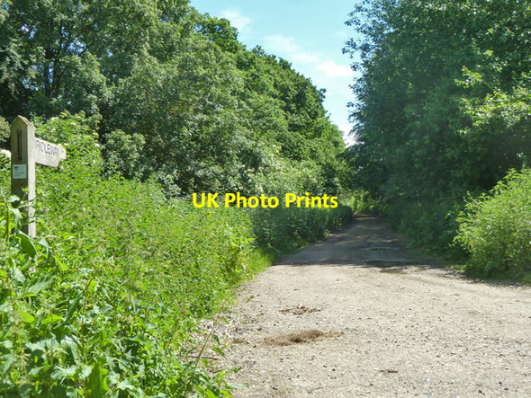 Photo 6"x4" Public bridleway, Case Green Weston Corbett c2014