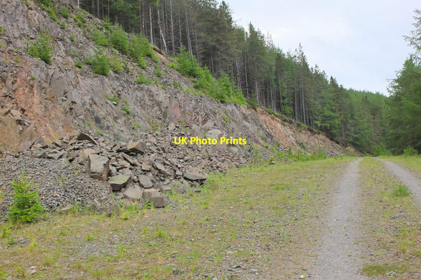 Photo 6"x4" Quarry by the forest track, Elibank Law Holylee c2014