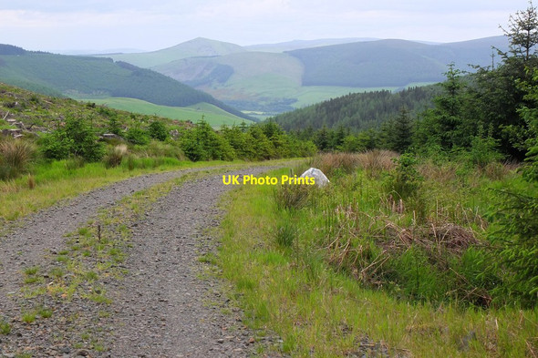 Photo 6"x4" Forest track by the Glenbenna Burn West Bold c2014