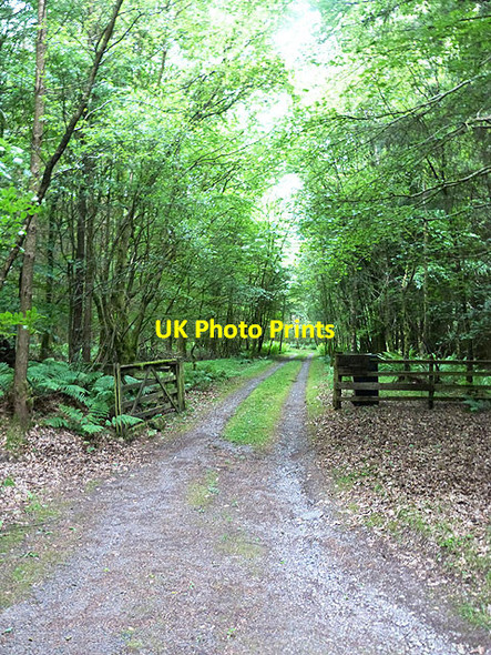 Photo 6"x4" Driveway to Corncockle Templand\/NY0886 c2014