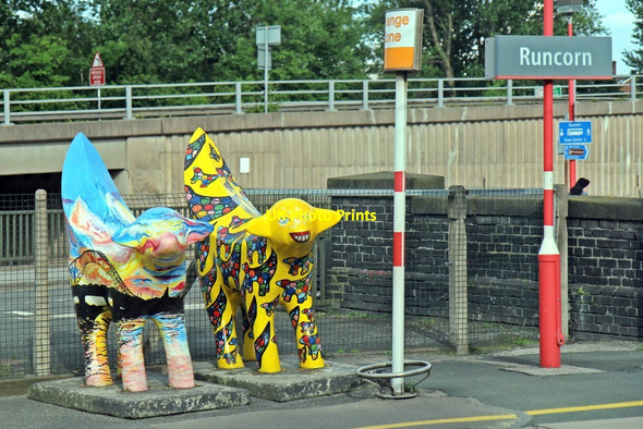 Photo 6"x4" Superlambananas, Runcorn railway station Runcorn c2014