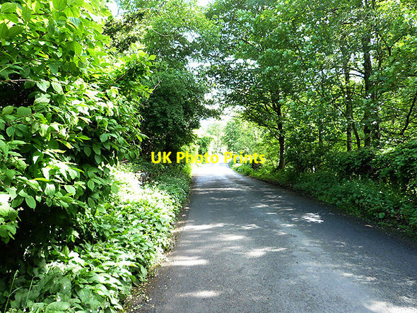 Photo 6"x4" Road into Eddleston Eddleston c2014