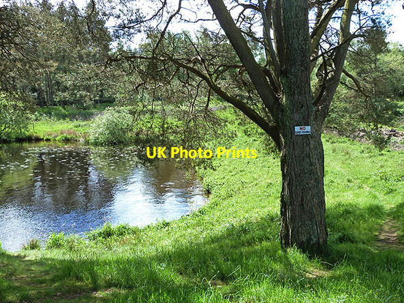 Photo 6"x4" Head of bay on Gladhouse Reservoir Tweeddaleburn\/NT2752 c2014