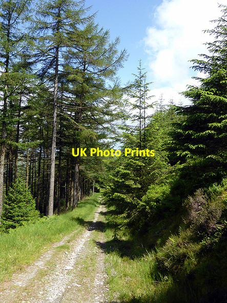 Photo 6"x4" Bridleway running from Moel y Llyn to Cwm Einion Moel y Llyn\/SN7191 c2014