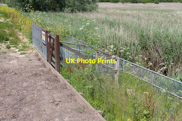 Photo 6"x4" Butley Mill Sluice No. 1 Chillesford c2014