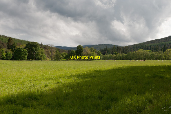 Photo 6"x4" Across the fields near Bridge of Tanar Millfield\/NO4896 c2014