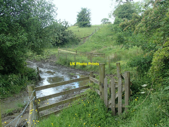 Photo 6"x4" Muddy path Hayes\/SK0860 c2014