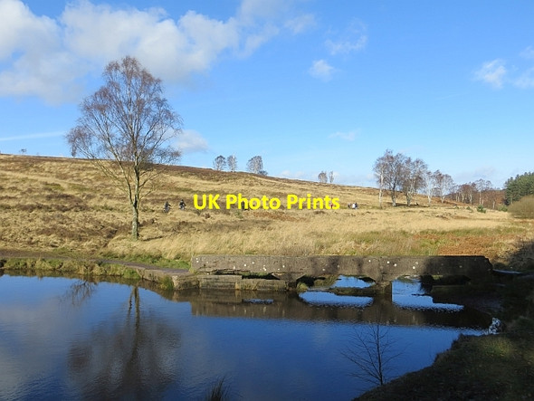 Photo 6"x4" Pond, Sherbrooke Valley Pye Green c2014