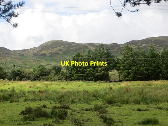 Photo 6"x4" Damp pasture Drumfree c2013