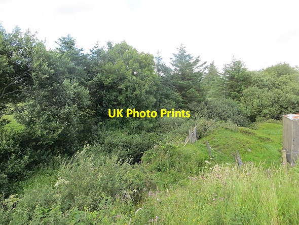 Photo 6"x4" Glashagh River Drumfree c2013