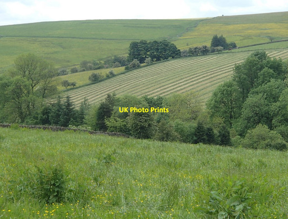 Photo 6"x4" Hamps valley farmland Upper Elkstone c2014