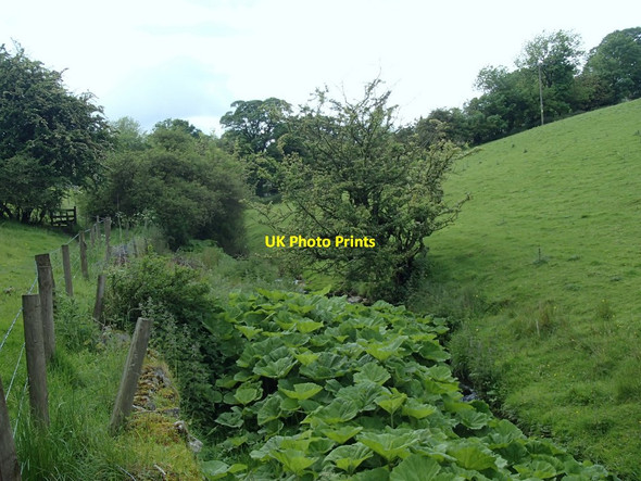 Photo 6"x4" Hoo Brook near Butterton Butterton\/SK0756 c2014
