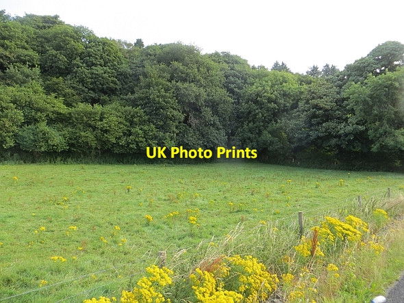 Photo 6"x4" Field, Ballyargus Redcastle\/C5535 c2013