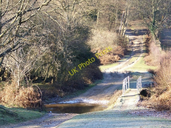 Photo 6"x4" Huckles Brook Furze Hill\/SU1711 c2009