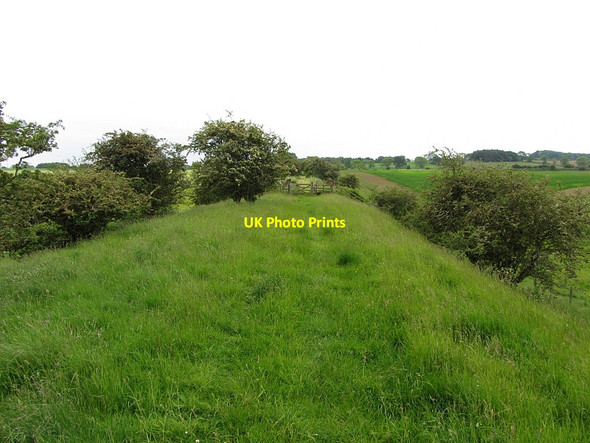 Photo 6"x4" Trackbed of Rothbury Railway north of Hart Burn bridge Scots' Gap c2014