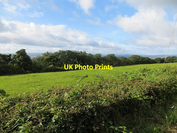 Photo 6"x4" Field beside Lough Foyle Moville c2013
