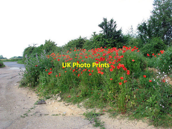 Photo 6"x4" Earth bank at the end of the runway Greensgate c2014