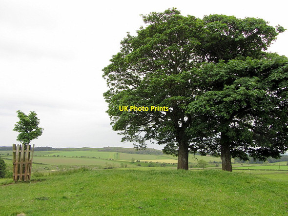 Photo 6"x4" Toot Hill, north-east of Tut Hill Farm Scots' Gap c2014