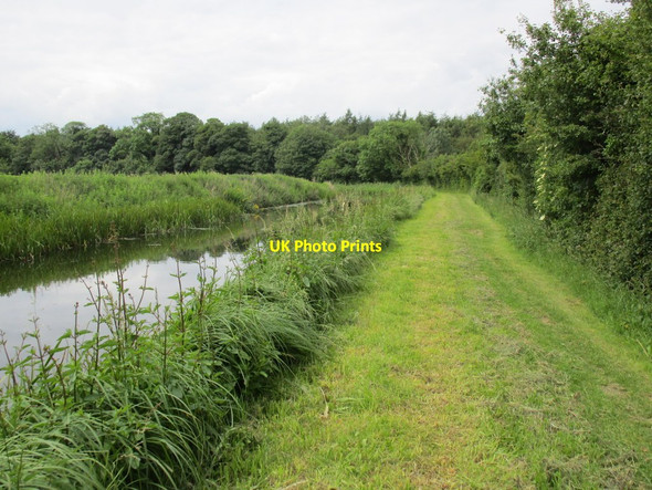 Photo 6"x4" The Chesterfield Canal Barnby Moor c2014