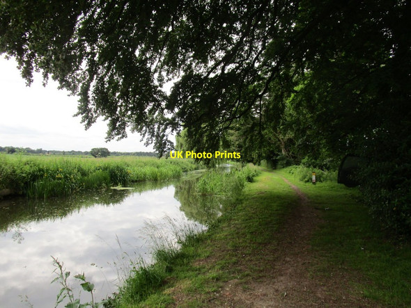 Photo 6"x4" The Chesterfield Canal Ranby\/SK6580 c2014