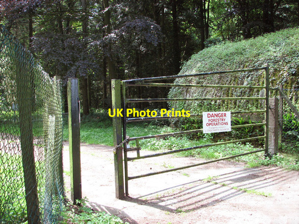 Photo 6"x4" The entrance into Hockering Wood Hockering c2014