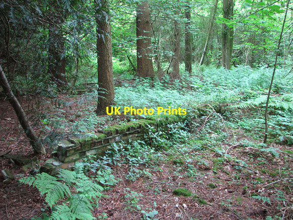 Photo 6"x4" Hut platform beside the path Hockering c2014