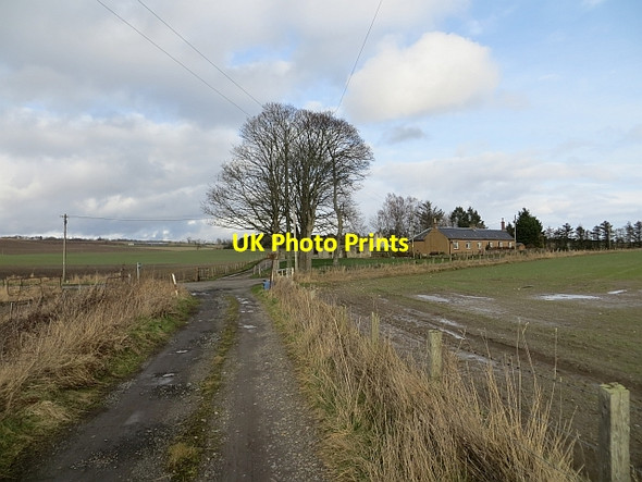 Photo 6"x4" Farm road, Aberbothrie New Alyth c2014