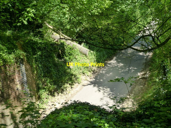 Photo 6"x4" Looking onto Peake New Road from dismantled railway Exton\/SU6121 c2014