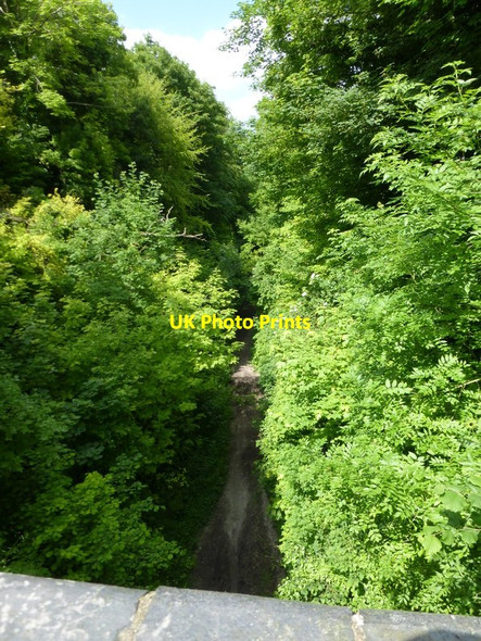 Photo 6"x4" Looking north on disused railway line from Hayden Lane Warnford c2014