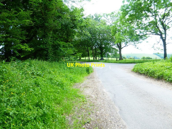 Photo 6"x4" The top of Old Winchester Hill Lane Coombe\/SU6620 c2014