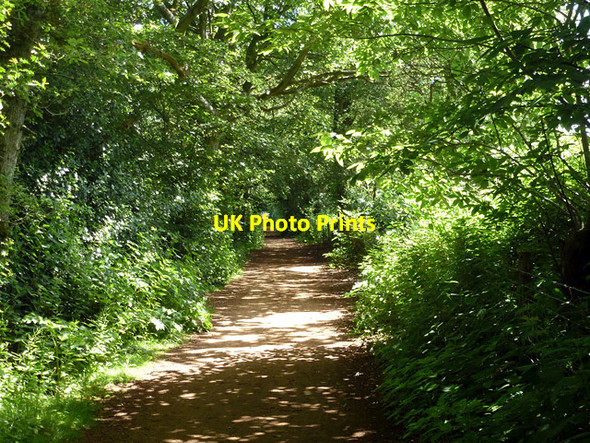 Photo 6"x4" Worth Way heading east Worth\/TQ3036 c2014 P1