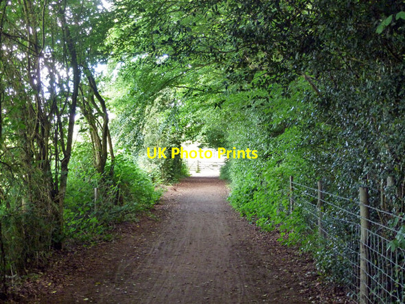 Photo 6"x4" Worth Way heading east Worth\/TQ3036 c2014