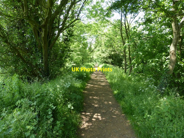 Photo 6"x4" Trail on abandoned railway line Mansfield Woodhouse c2014