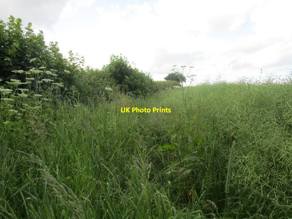 Photo 6"x4" Footpath to Clayworth Woodhouse North Wheatley c2014