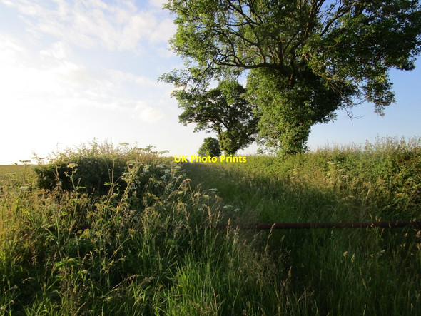 Photo 6"x4" Farm track at Bole Fields Saundby c2014