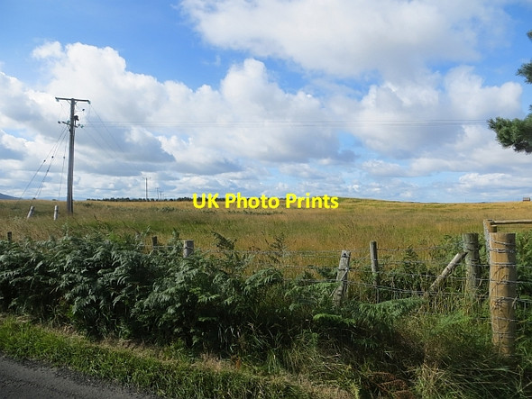 Photo 6"x4" Links, Magilligan Greencastle\/C6440 c2013