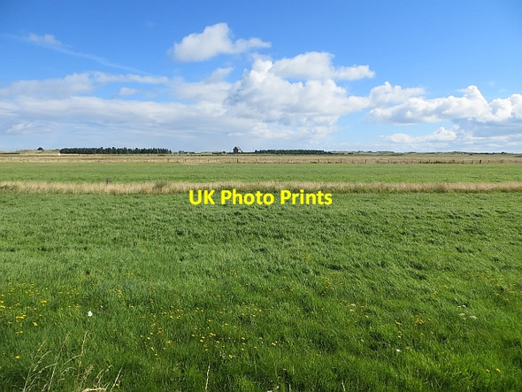 Photo 6"x4" Dune slacks, Magilligan Greencastle\/C6440 c2013