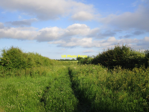 Photo 6"x4" Blue Stocking Lane North Wheatley c2014