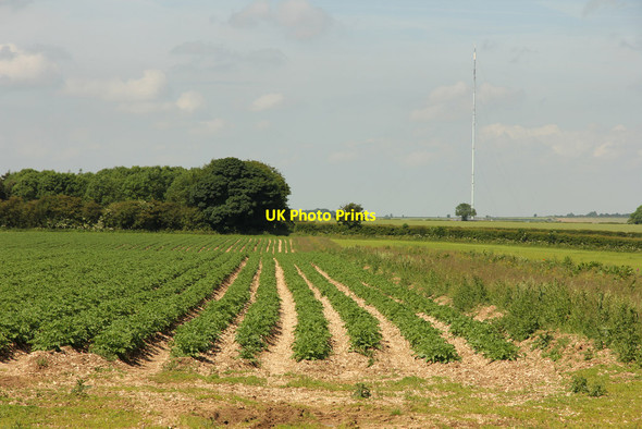 Photo 6"x4" Wolds view Gayton le Wold c2014