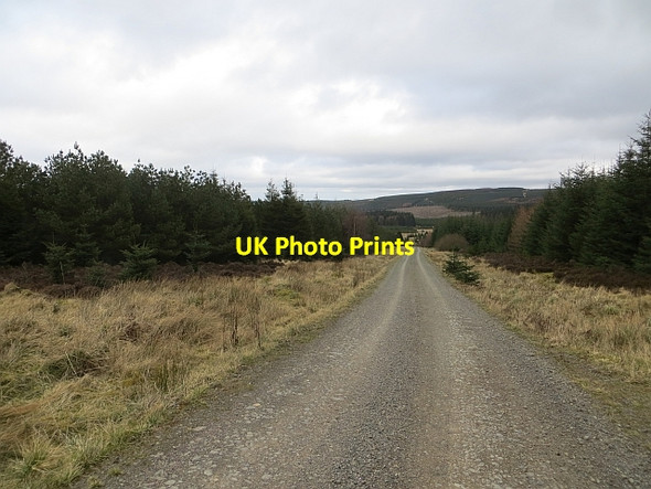 Photo 6"x4" Logging road, Wauchope Forest Raven Burn c2014