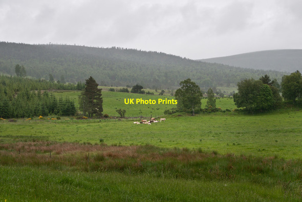 Photo 6"x4" Fields below Craig of Boreland Millfield\/NO4896 c2014