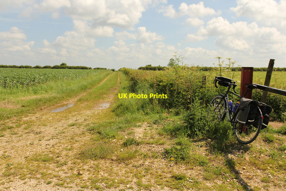 Photo 6"x4" Lindsey Trail Stenigot c2014