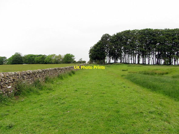Photo 6"x4" Track north of Tut Hill Scots' Gap c2014