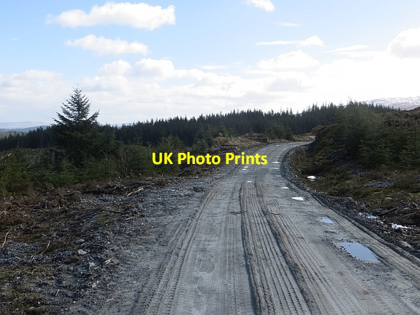 Photo 6"x4" Logging road, Loch Ard Forest Kinlochard c2014