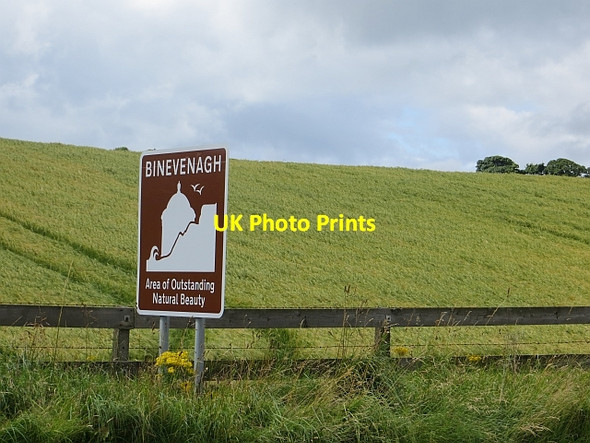Photo 6"x4" Barley above Castle Rock Milltown\/C7534 c2013