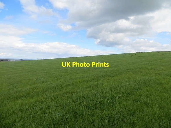 Photo 6"x4" Field, Masteragwee Articlave c2013
