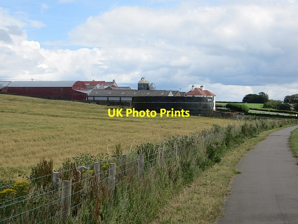 Photo 6"x4" Cycle path, Quilly Road Coleraine c2013