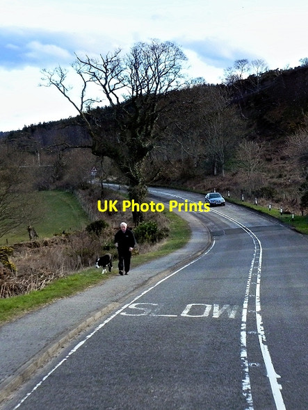 Photo 6"x4" Dunollie Road (A85) Oban\/NM8630 c2014