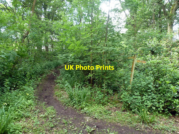Photo 6"x4" Public footpath 14W Worth\/TQ3036 c2014