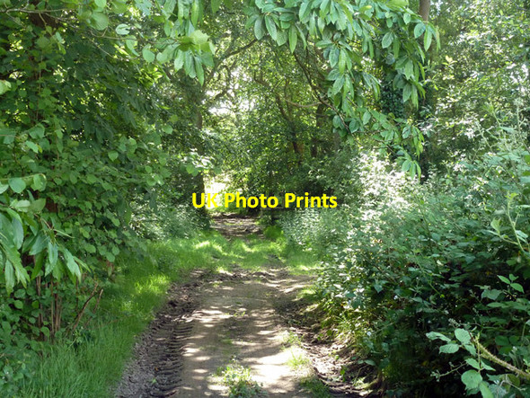 Photo 6"x4" Public footpath 14W Crabbet Park c2014